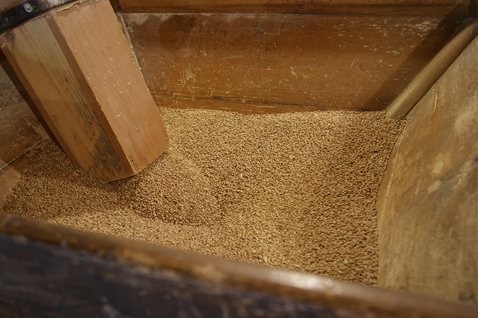 exposition permanente