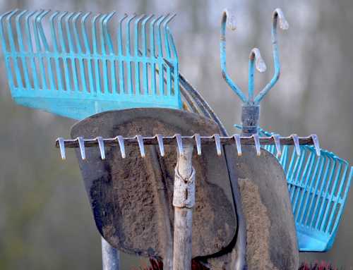 La Seigneurie se fait belle pour célébrer ses 50 ans!