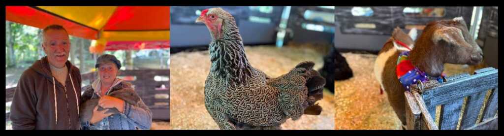 Une mini-ferme… pour petits et grands