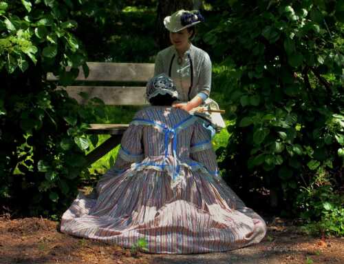 Renouvellement de l&rsquo;exposition permanente