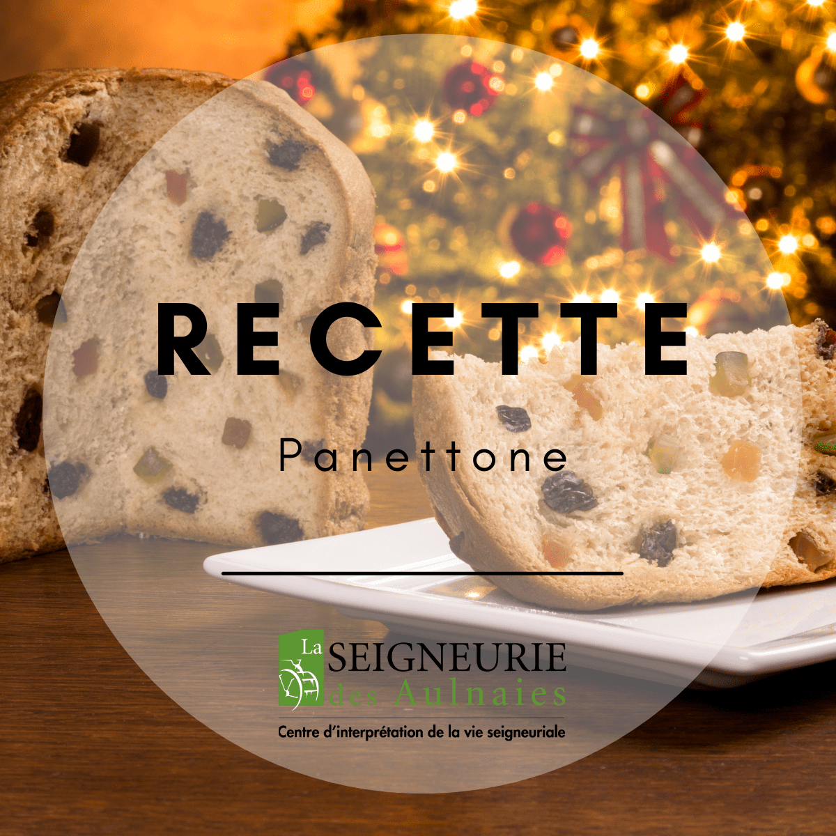 Recettes de panettone