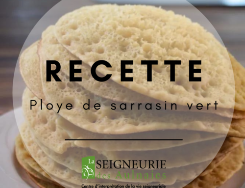 Ploye de sarrasin vert