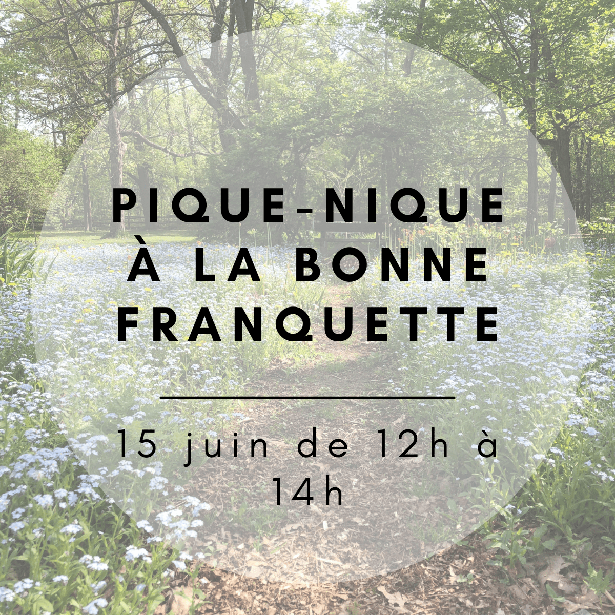 Pique-nique à la bonne franquette