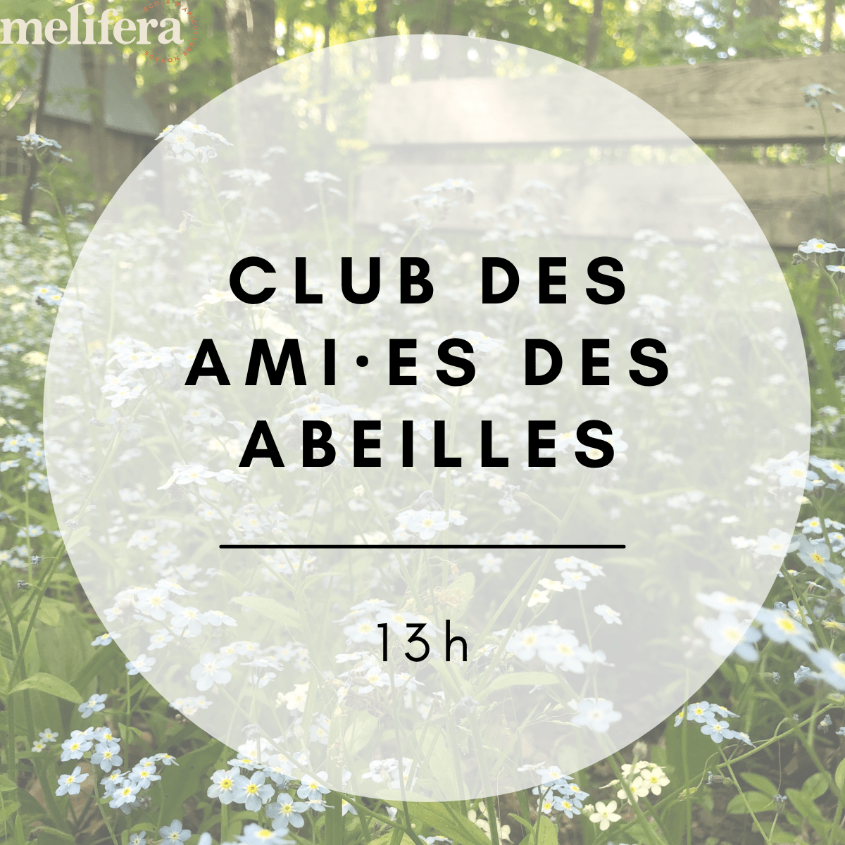 Club des ami·es des abeilles