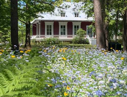 Cette année, venez profiter gratuitement de nos jardins en famille !