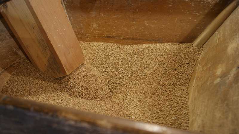 exposition permanente